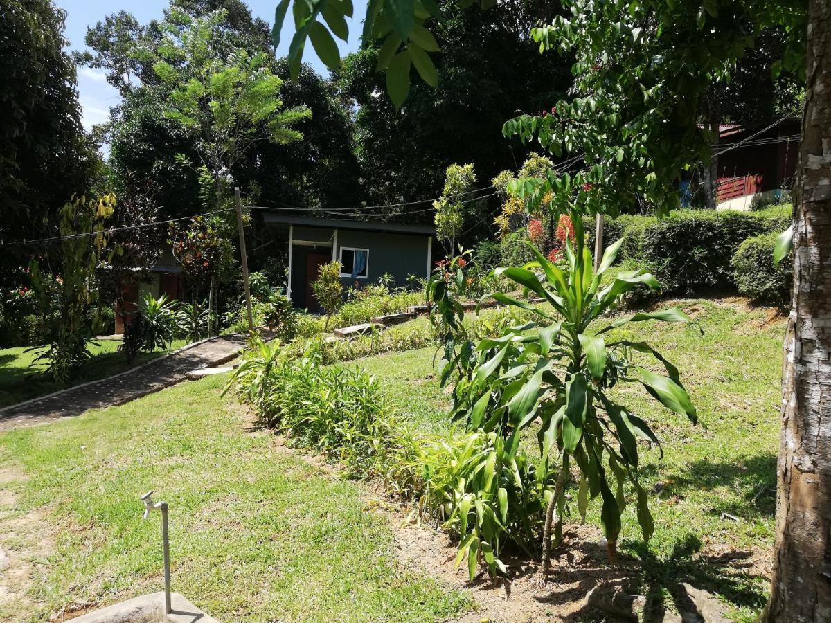 Durian Chalet 瓜拉大汉 外观 照片