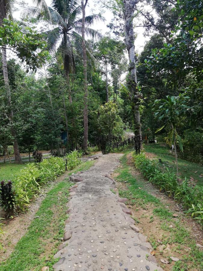 Durian Chalet 瓜拉大汉 外观 照片