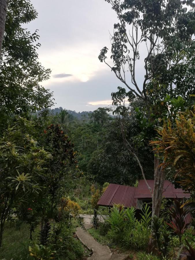 Durian Chalet 瓜拉大汉 外观 照片