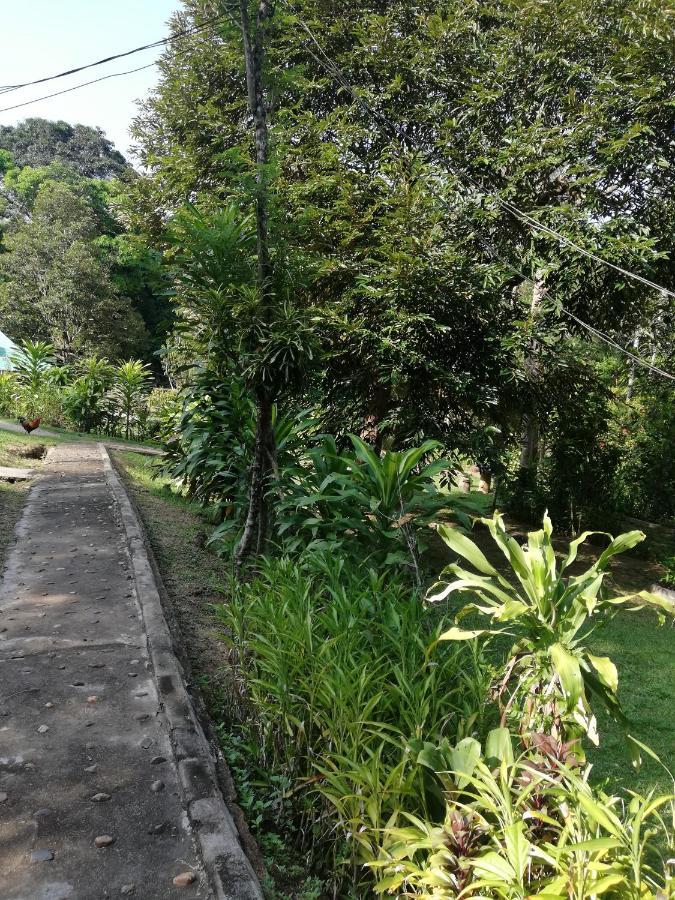 Durian Chalet 瓜拉大汉 外观 照片