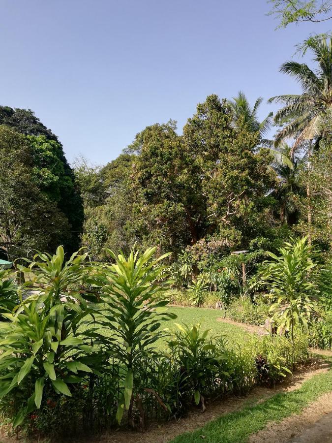Durian Chalet 瓜拉大汉 外观 照片