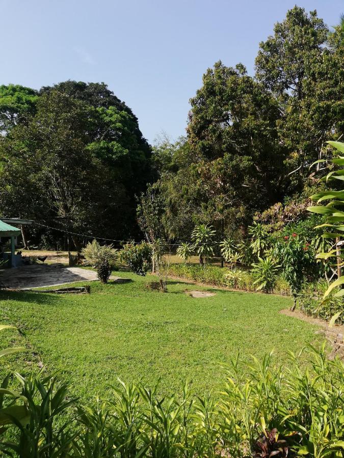 Durian Chalet 瓜拉大汉 外观 照片