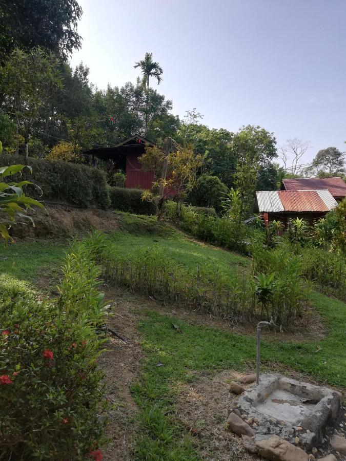 Durian Chalet 瓜拉大汉 外观 照片