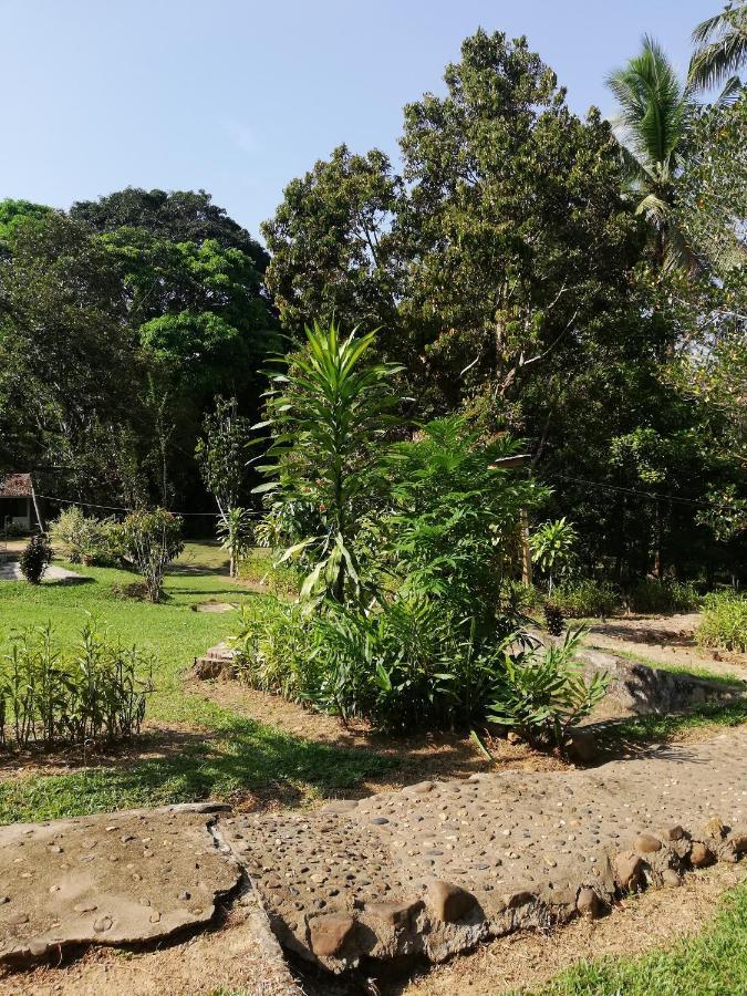 Durian Chalet 瓜拉大汉 外观 照片