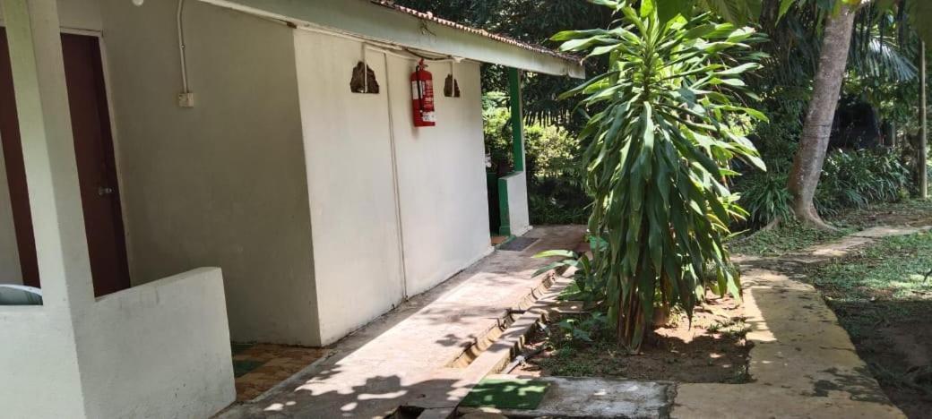 Durian Chalet 瓜拉大汉 外观 照片