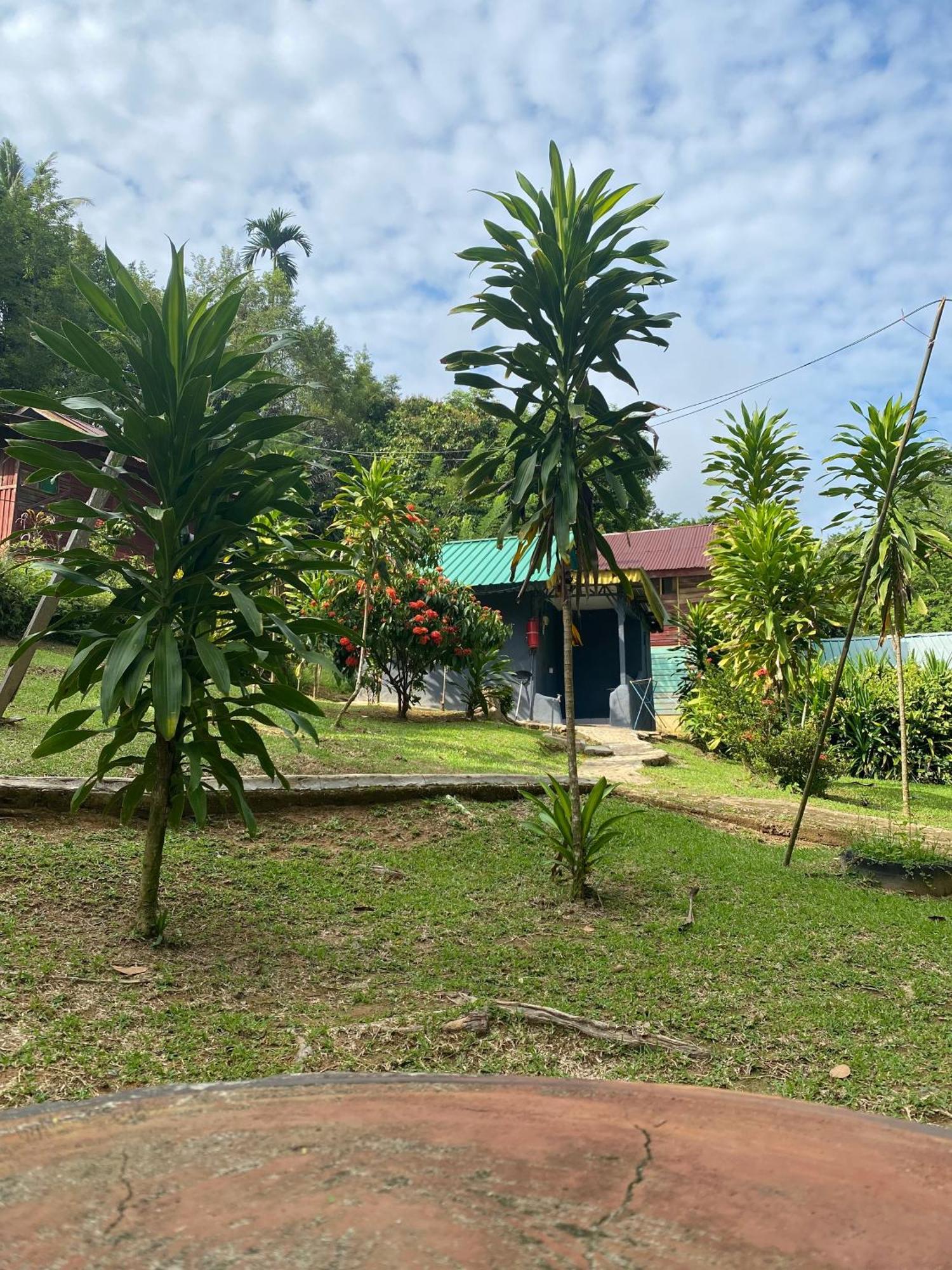 Durian Chalet 瓜拉大汉 外观 照片